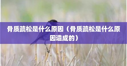 骨质疏松是什么情况（骨质疏松是啥原因）