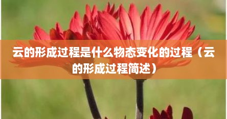 云的形成过程是什么物态变化的过程（云的形成过程简述）