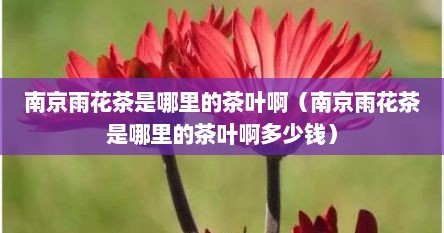 南京雨花茶是哪里的茶叶啊（南京雨花茶是哪里的茶叶啊多少钱）