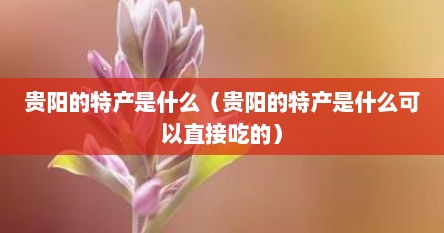 贵阳的特产是什么（贵阳的特产是什么可以直接吃的）