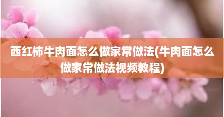 西红柿牛肉面怎么做家常做法(牛肉面怎么做家常做法视频教程)
