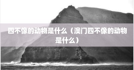 四不像的动物是什么（澳门四不像的动物是什么）