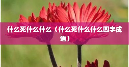 什么死什么什么（什么死什么什么四字成语）