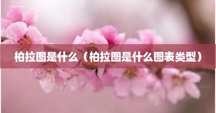 柏拉图是什么（柏拉图是什么图表类型）