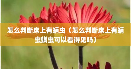 怎么判断床上有螨虫（怎么判断床上有螨虫螨虫可以看得见吗）