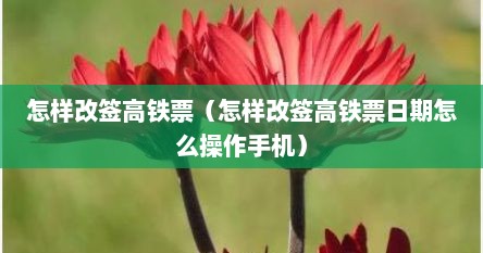 怎样改签高铁票（怎样改签高铁票日期怎么操作手机）