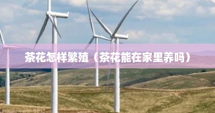 茶花怎样繁殖（茶花能在家里养吗）