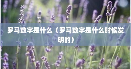 罗马数字是什么样的数字（罗马数字是哪一种）
