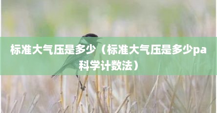 标准大气压是多少（标准大气压是多少pa科学计数法）