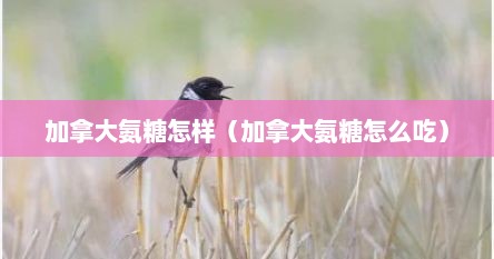 加拿大氨糖怎样(加拿大氨糖怎么吃) 加拿大氨糖怎样(加拿大氨糖怎么吃)