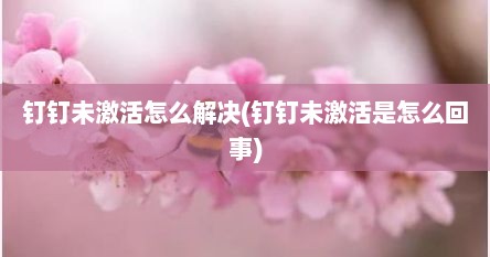 钉钉未激活怎么解决(钉钉未激活是怎么回事)