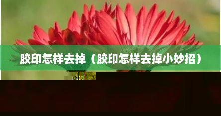 胶印怎样去掉（胶印怎样去掉小妙招）