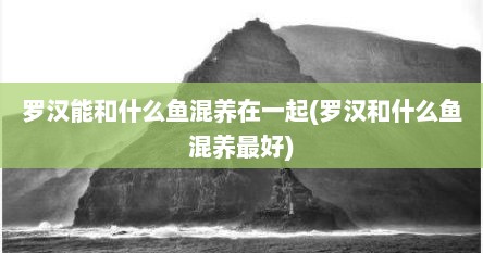 罗汉能和什么鱼混养在一起(罗汉和什么鱼混养最好)