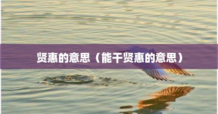 贤惠的意思（能干贤惠的意思）