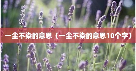 一尘不染的意思（一尘不染的意思10个字）