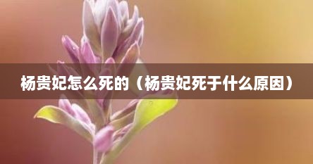杨贵妃怎么死的（杨贵妃死于什么原因）
