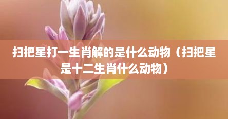 扫把星打一生肖解的是什么动物（扫把星是十二生肖什么动物）