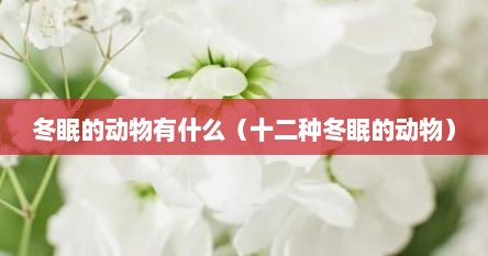 冬眠的动物有什么（十二种冬眠的动物）