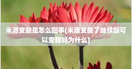 米酒变酸是怎么回事(米酒变酸了继续酿可以变甜吗为什么)