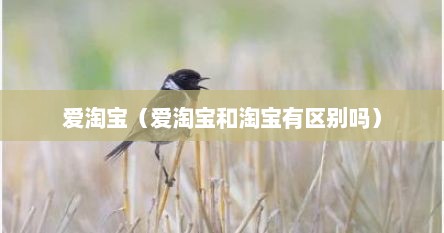 爱淘宝（爱淘宝和淘宝有区别吗）