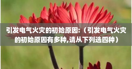 引发电气火灾的初始原因:（引发电气火灾的初始原因有多种,请从下列选四种）