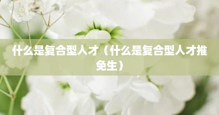 什么是复合型人寸（什么是复合型人寸推免生）