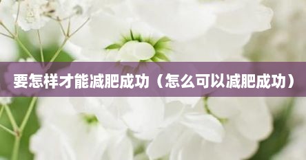 要怎样才能减肥成功（怎么可以减肥成功）