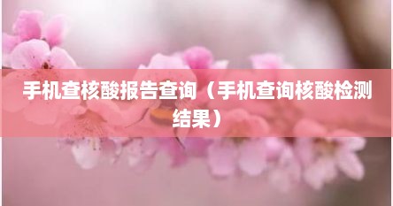 手机查核酸报告查询（手机查询核酸检测结果）