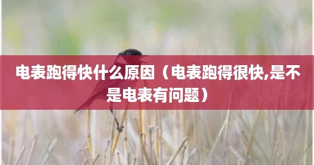 电表跑得快什么原因（电表跑得很快,是不是电表有问题）
