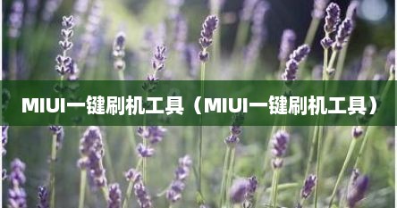 MIUI一键刷机工具（MIUI一键刷机工具）