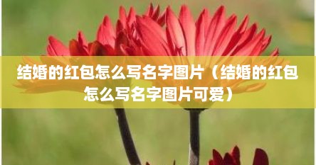 结婚的红包怎么写名字图片（结婚的红包怎么写名字图片可爱）