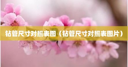 钻管尺寸对照表图（钻管尺寸对照表图片）
