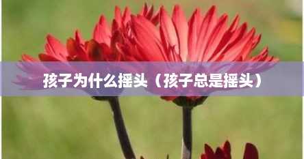 孩子为什么摇头（孩子总是摇头）