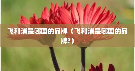 飞利浦是哪国的品牌（飞利浦是哪国的品牌?）