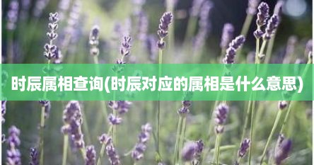 时辰属相查询(时辰对应的属相是什么意思)