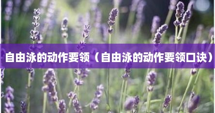 自由泳的动作要领（自由泳的动作要领口诀）