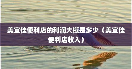 美宜佳便利店的利润大概是多少（美宜佳便利店收入）