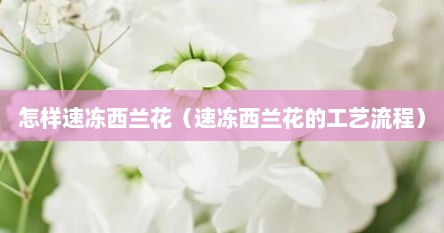 怎样速冻西兰花（速冻西兰花的工艺流程）