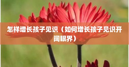 怎样增长孩子见识（如何增长孩子见识开阔眼界）