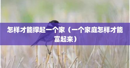 怎样才能撑起一个家（一个家庭怎样才能富起来）