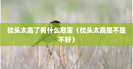 枕头太高了有什么危害（枕头太高是不是不好）