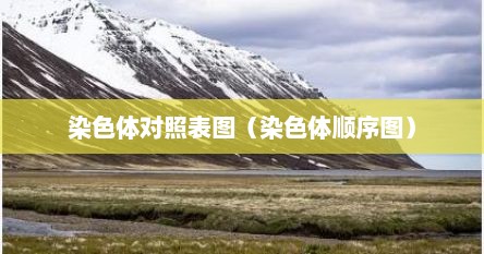 染色体对照表图（染色体顺序图）