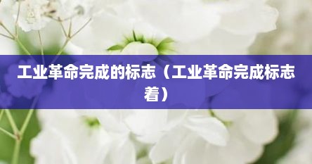 工业革命完成的标志（工业革命完成标志着）