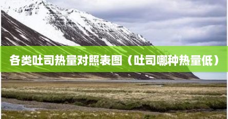 各类吐司热量对照表图（吐司哪种热量低）