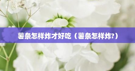 薯条怎样炸才好吃（薯条怎样炸?）