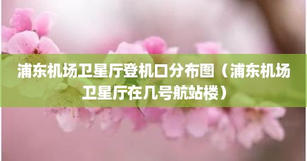 浦东机场卫星厅登机口分布图（浦东机场卫星厅在几号航站楼）