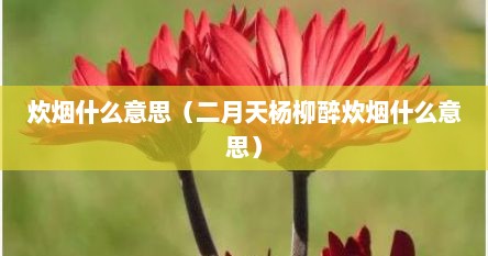 炊烟什么意思（二月天杨柳醉炊烟什么意思）