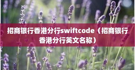 招商银行香港分行swiftcode(招商银行香港分行英文名称)