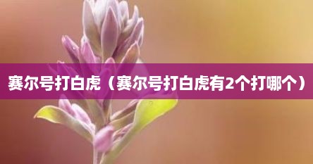 赛尔号打白虎（赛尔号打白虎有2个打哪个）