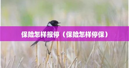 保险怎样报停（保险怎样停保）